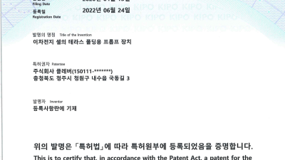 특허증 제 10-2413816 호